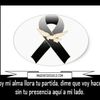 albalamboy30